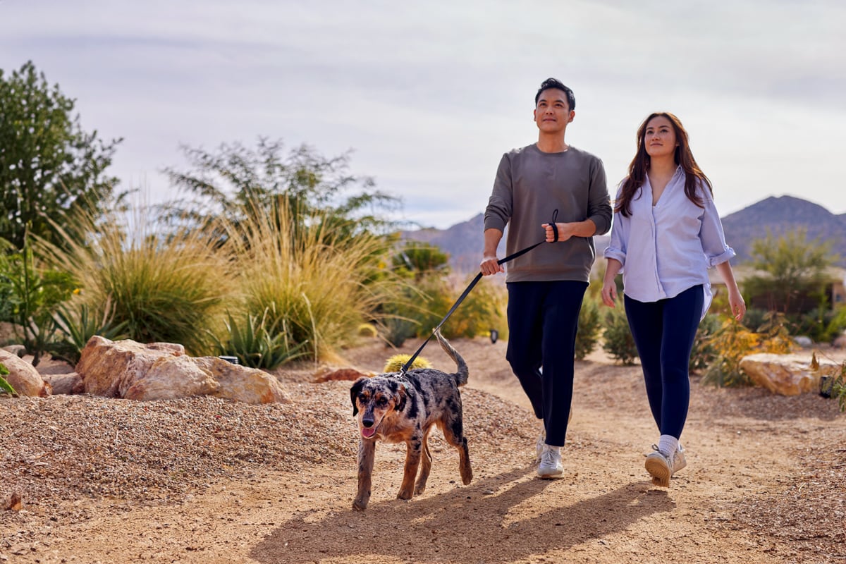 ADM is Leading Postbiotic Innovation  
