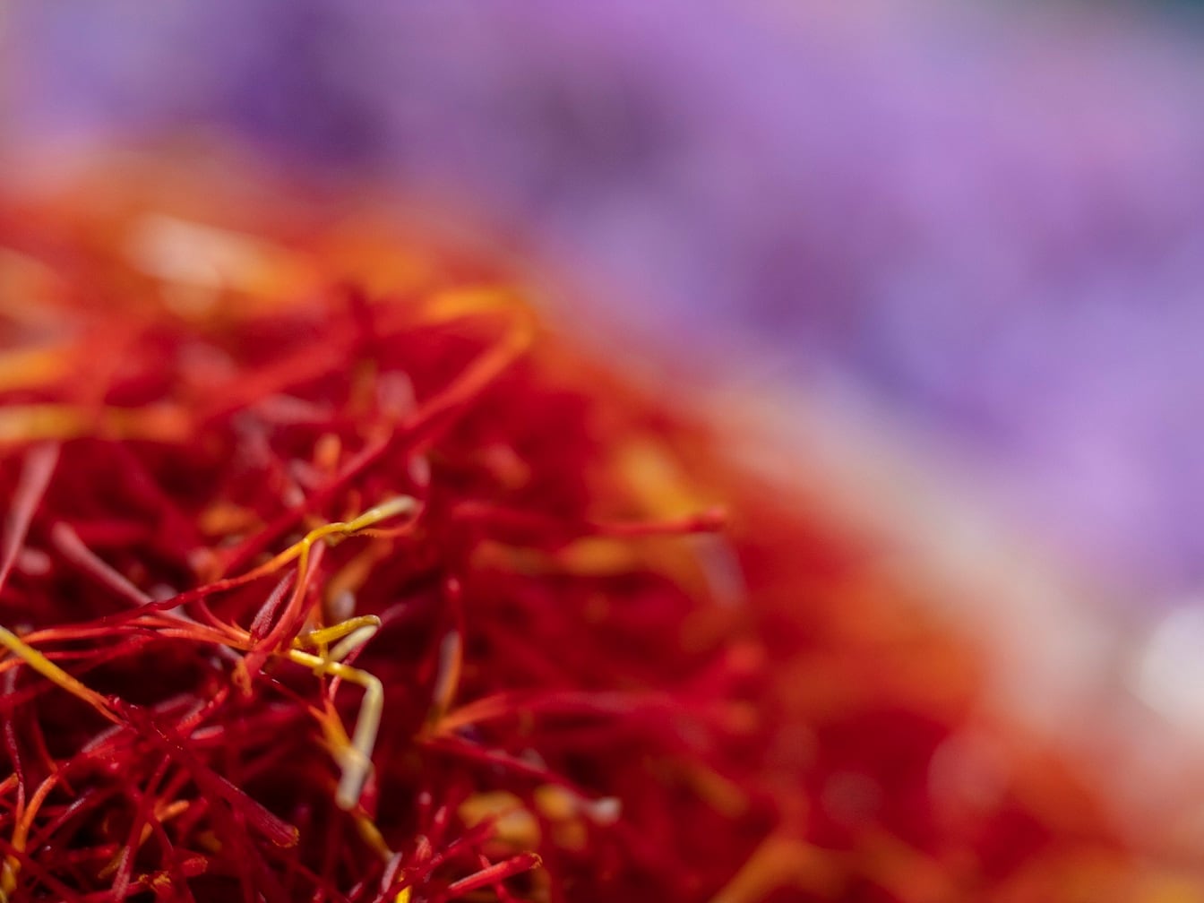 Saffron extract could improve sleep: Study 