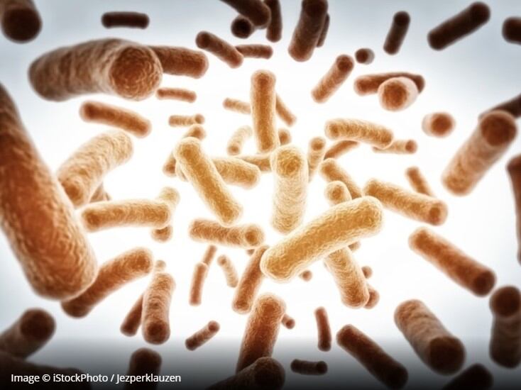 Galmed and MyBiotics pact aims to identify microbiome response to NASH therapy