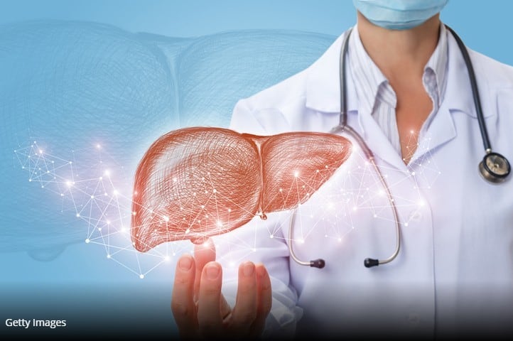 Hop-derived-compounds-may-prove-effective-against-liver-disease.jpg