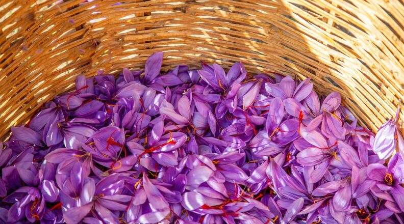 ‘Potent’ saffron extract debuts at SupplySide West