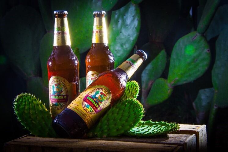 Nopal-beer.jpg