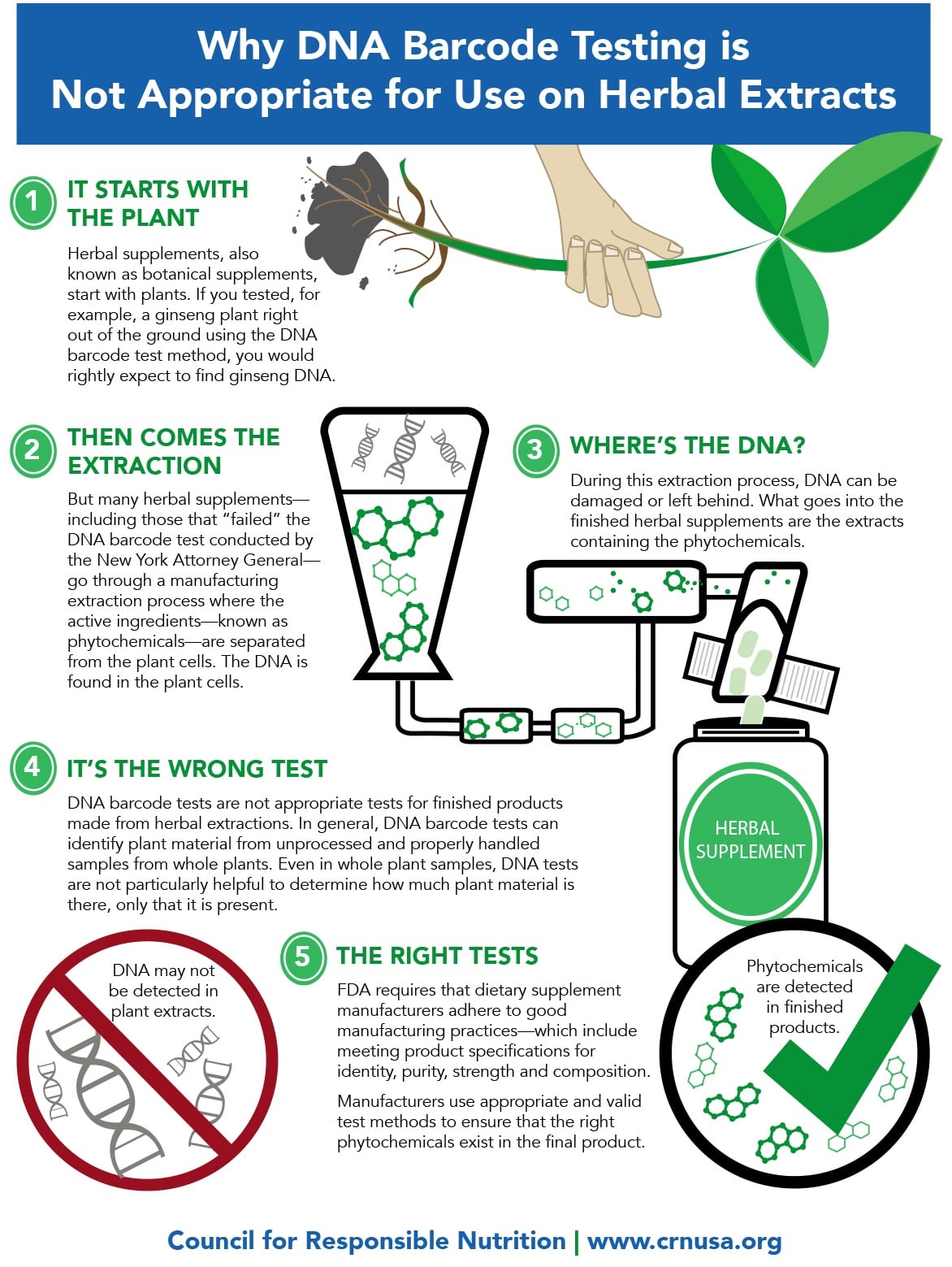 CRNInfographicNYAGLG.jpg