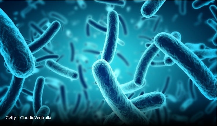 Eagle Genomics and Cargill agree on microbiome research collaboration 