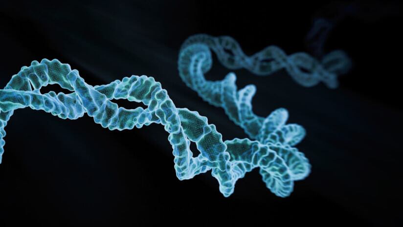 Genes are not destiny: Viome enhances Full Body Intelligence test