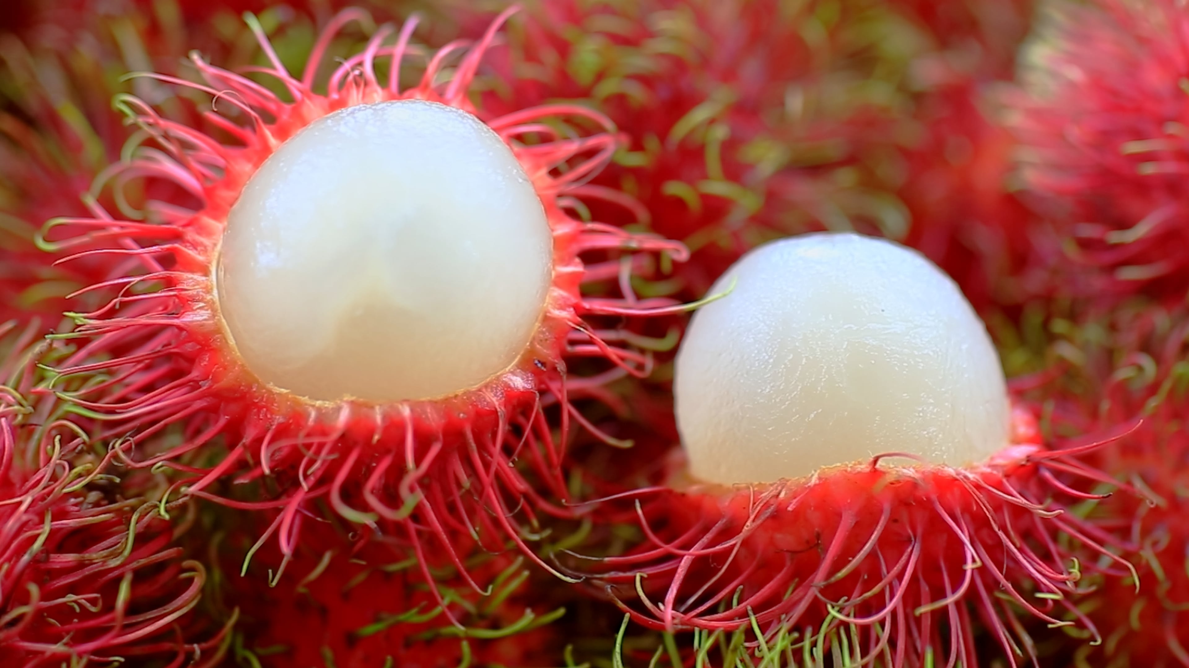 Study: Upcycled rambutan peel extract holds promise as supplement ingredient 