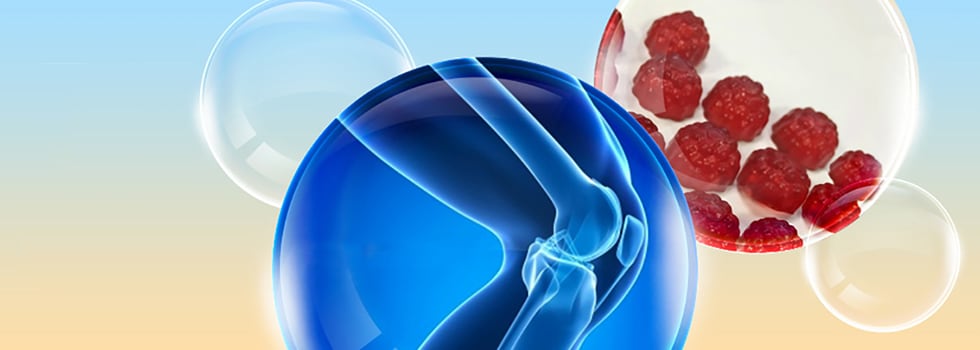 How-IRI-scan-data-show-UC-II-can-drive-joint-health-supplement-growth.jpg
