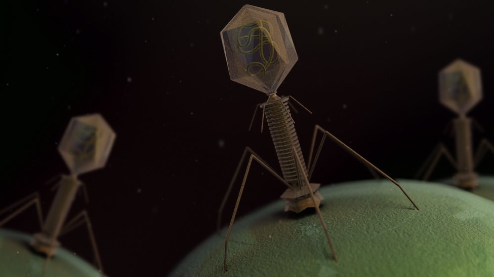 Phage-cocktail-shows-gut-microbiota-benefits-Deerland-RCT-data.jpg