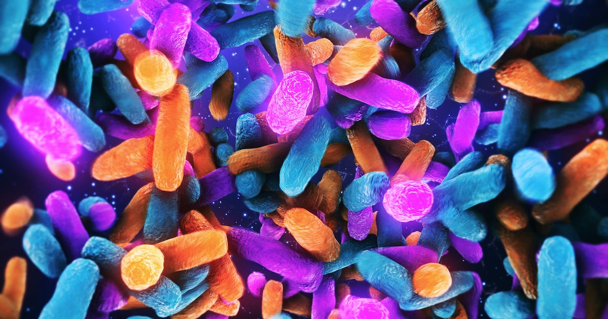 ‘Informing the development of next-gen probiotics’: Study explores how microbiome biotransforms phytonutrients