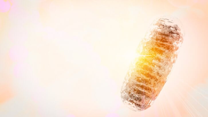 ChromaDex launches ‘clinical strength’ Tru Niagen Pro