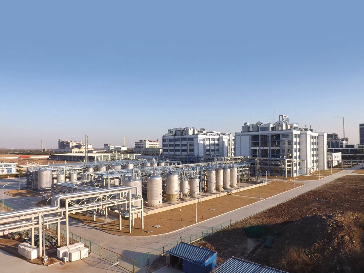 DSM-B6-plant.jpg