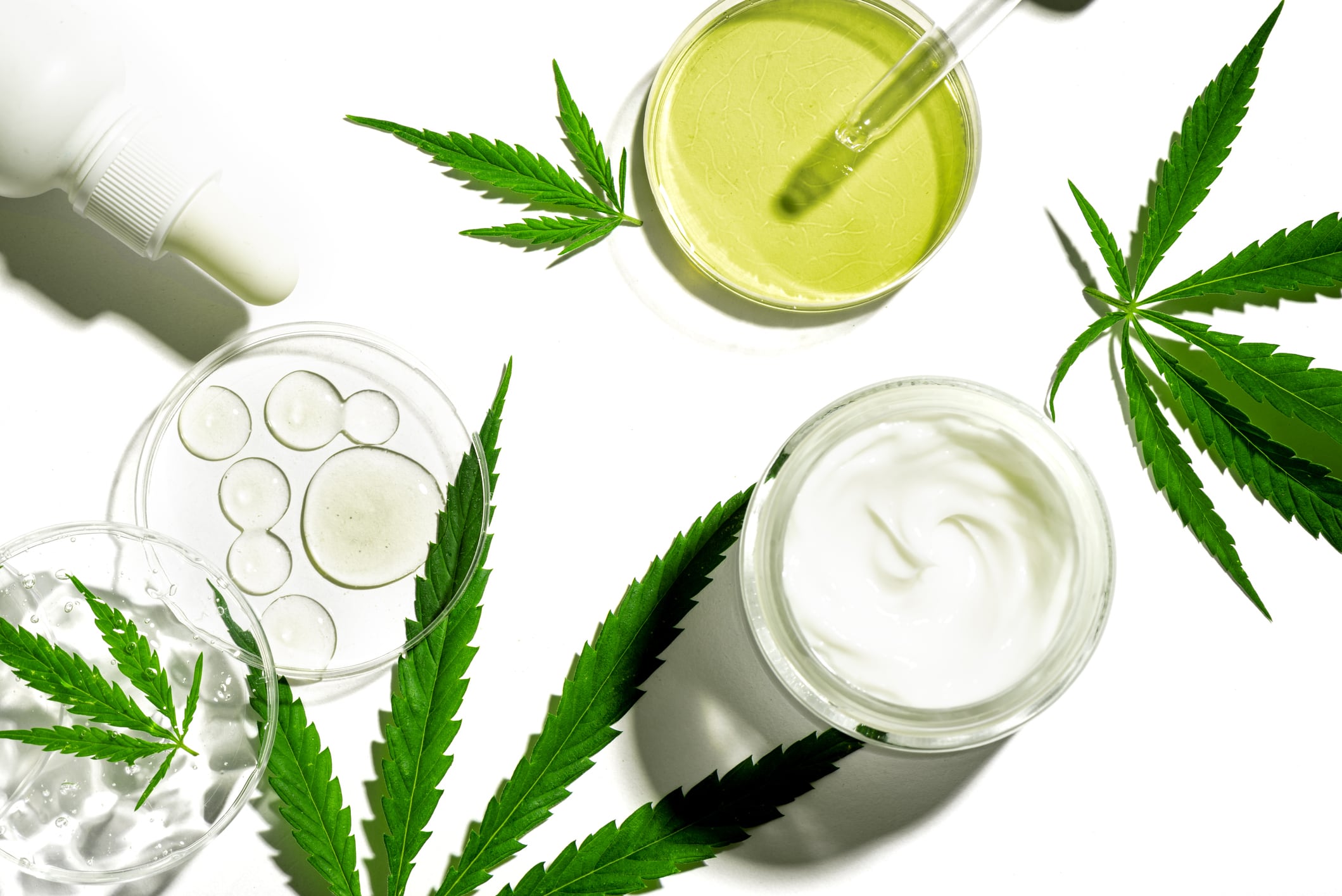 CBD oil in dropper, THC tincture in laboratory cups, cosmetic cream and serum and hemp cannabis leaves isolated on white background. Organic skin care concept.