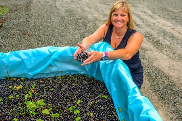 Blackcurrant supplement scoops third Nutraingredients award spanning three locations
