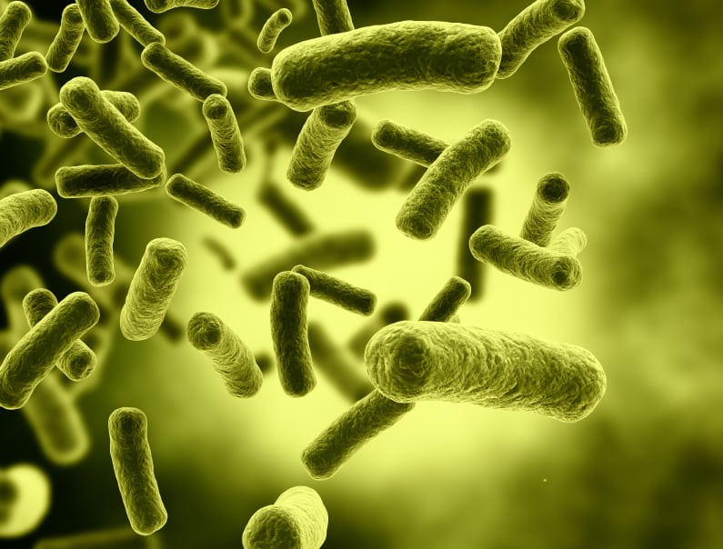 probiotics.jpg