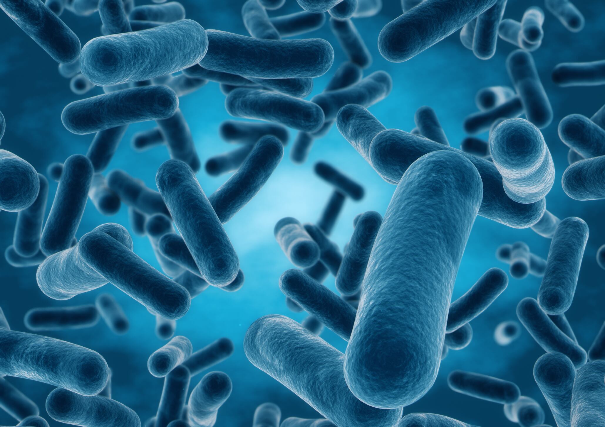 Taxonomic changes to the genus Lactobacillus are now official, so what now?