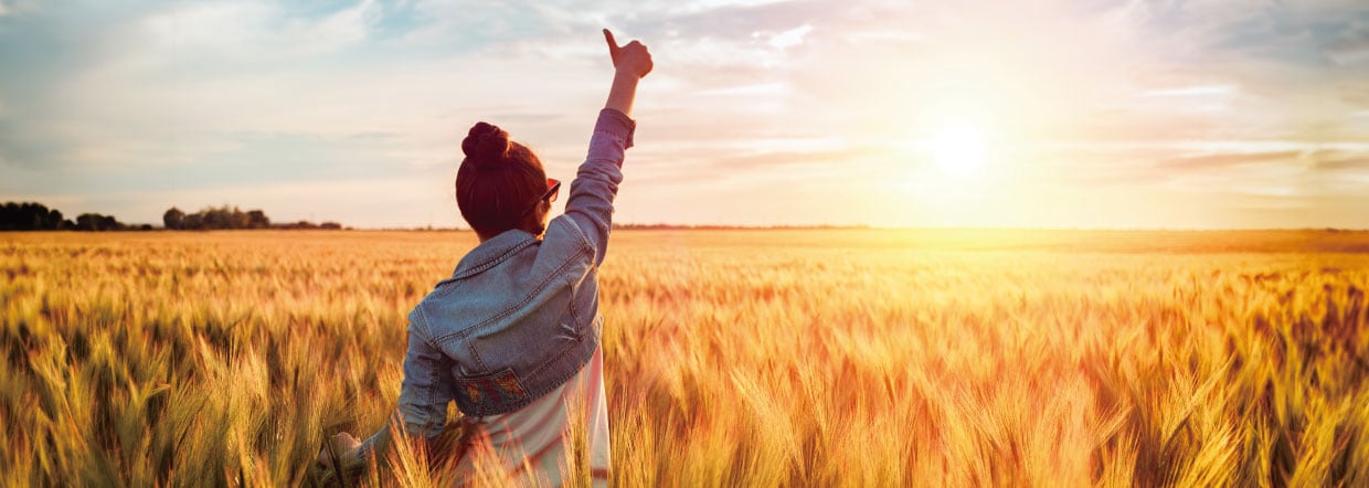 Postbiotics as practical tools for supporting positive mental wellness