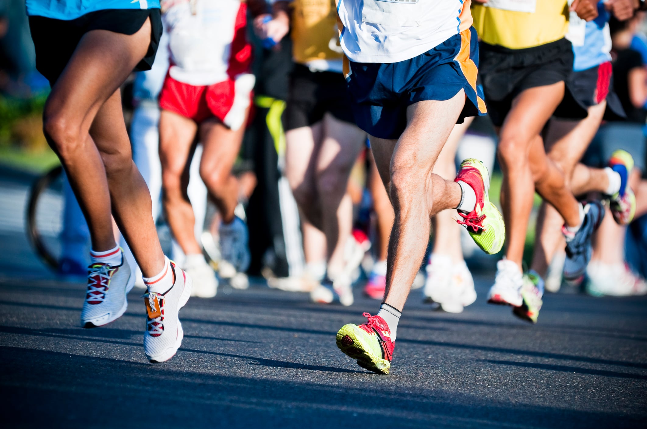 Standardized black seed oil may improve immunity and wellbeing in endurance athletes