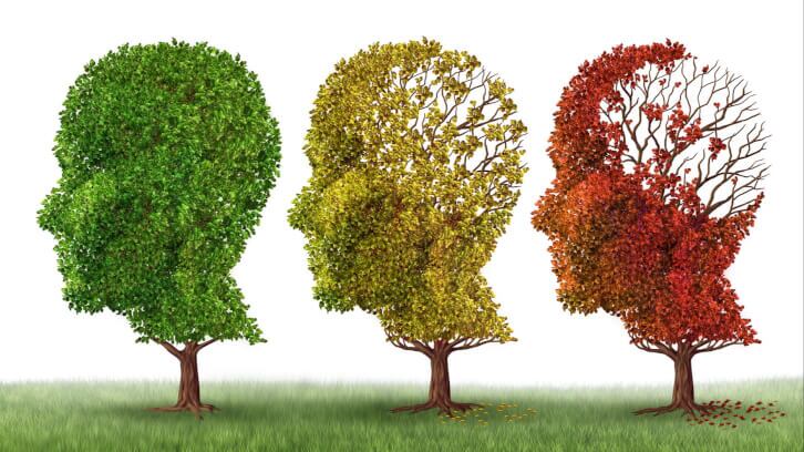 CRN-calls-for-FDA-response-to-study-on-galantamine-products.jpg