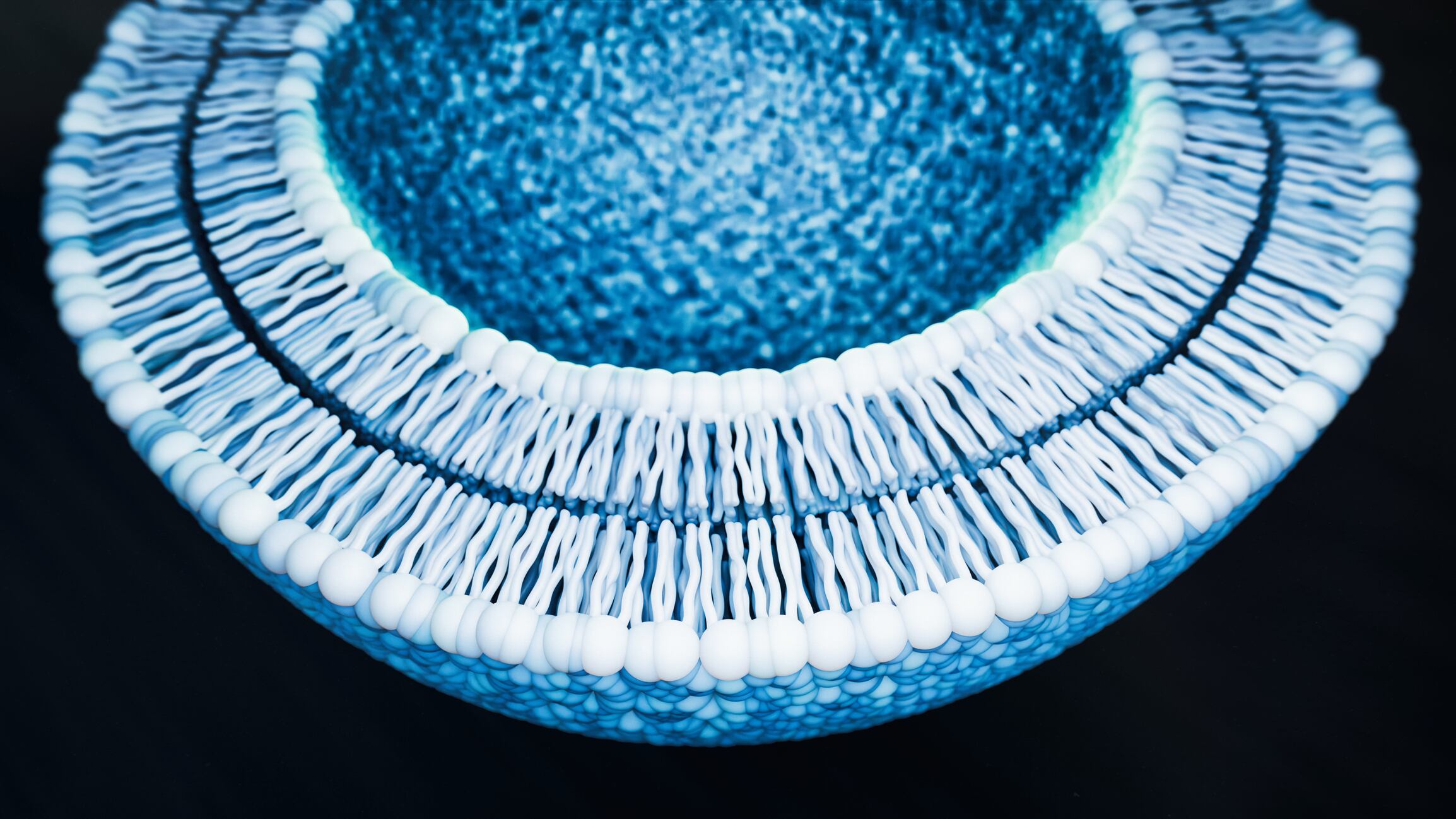 Clean label: UK university’s spinoff launches novel liposomal tech for APAC