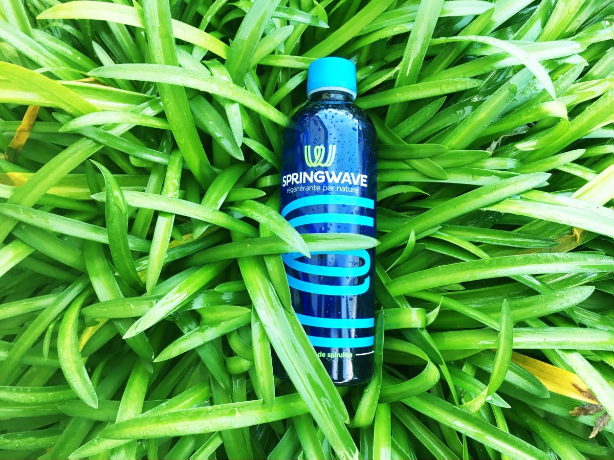 Algama-Foods-seeks-partner-for-re-launch-of-spirulina-drink.jpg