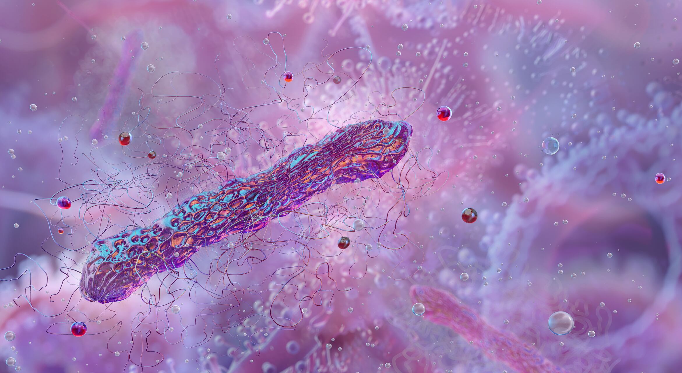 Illustration of clostridium bacteria, a genus of Gram-positive, spore-forming bacteria