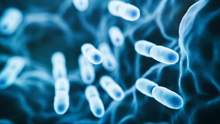 Science-grows-for-Probi-s-LPHEAL9-probiotic-for-cognitive-function.jpg