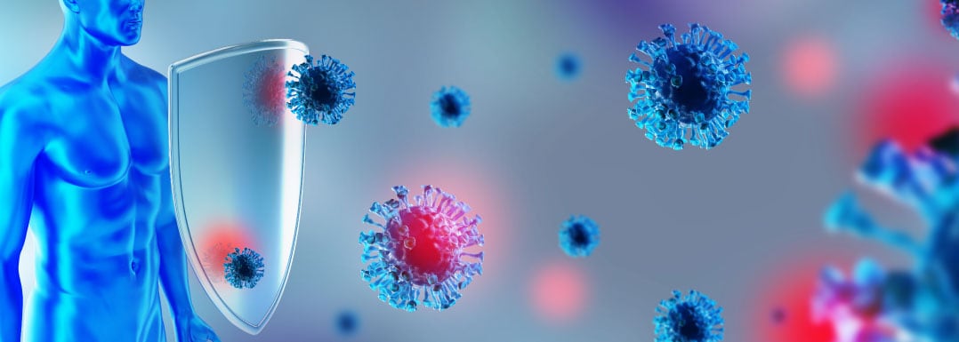 ApportAL-and-effect-of-vitamin-D-on-the-immune-system.jpg