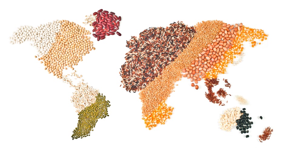 World_global_map_grains_food.jpg