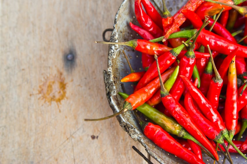 aXiChem-novel-food-approval-accelerates-phenylcapsaicin-deal.jpg