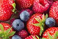 In Polyphenol-C, wide-spectrum berry polyphenols enhance the role of Non-GMO Vitamin-C
