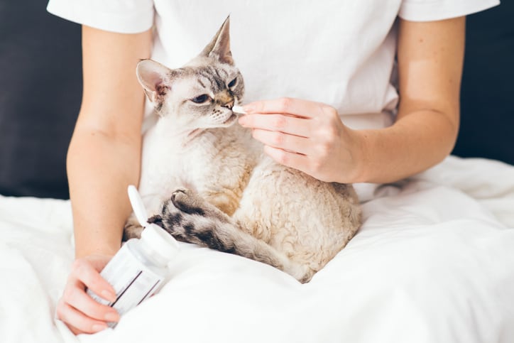 The market for pet probiotics is wide open