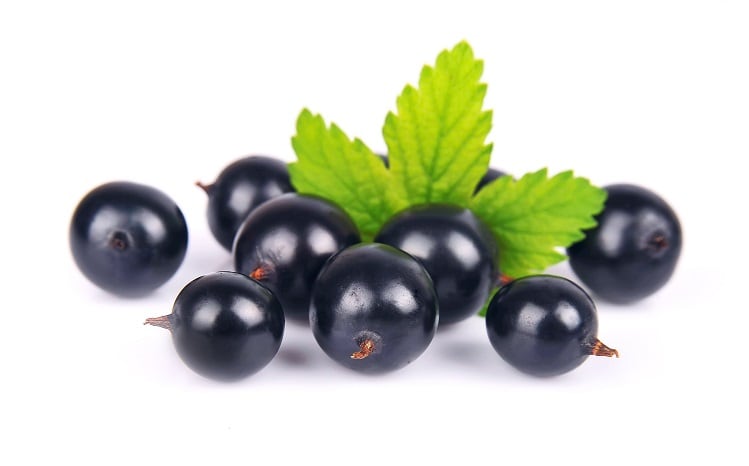 Frutarom targets performance nutrition formulations with new ingredient Activeberry