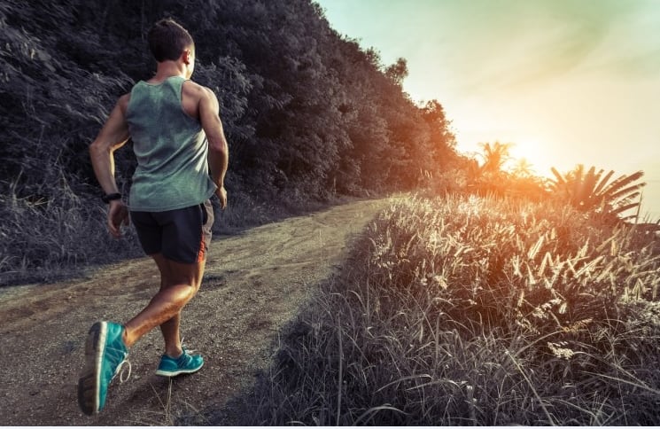 Study: Trehalose can help boost exercise performance