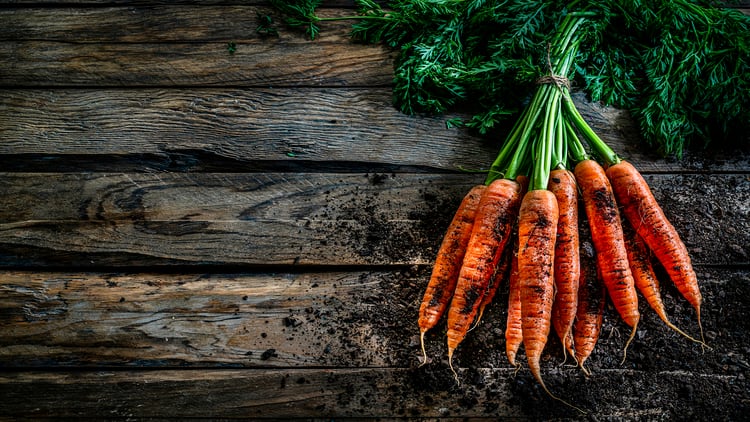 Nutraceutical carrot products may ease nutritional  disease burden, suggests study  