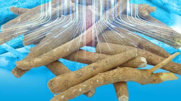 New clinical research indicates expansion of ashwagandha’s capabilities