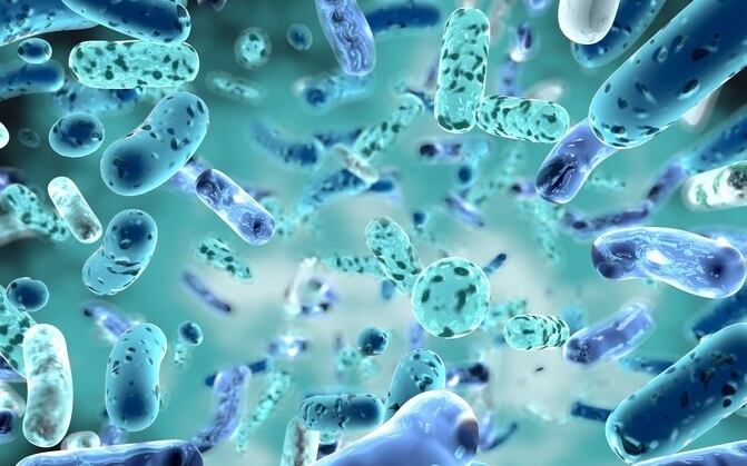 Probiotics, prebiotics reduce inflammation and maintain gut health for healthy ageing — Japanese review