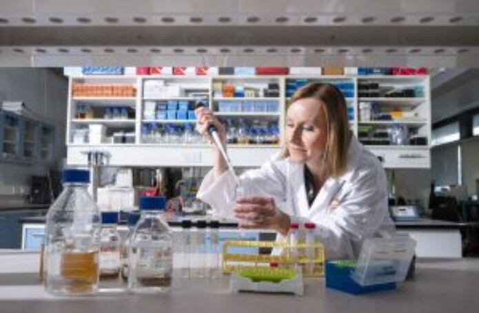 Gut-microbiome-could-manage-pain-tolerance-and-sensation-researchers-claim.jpg