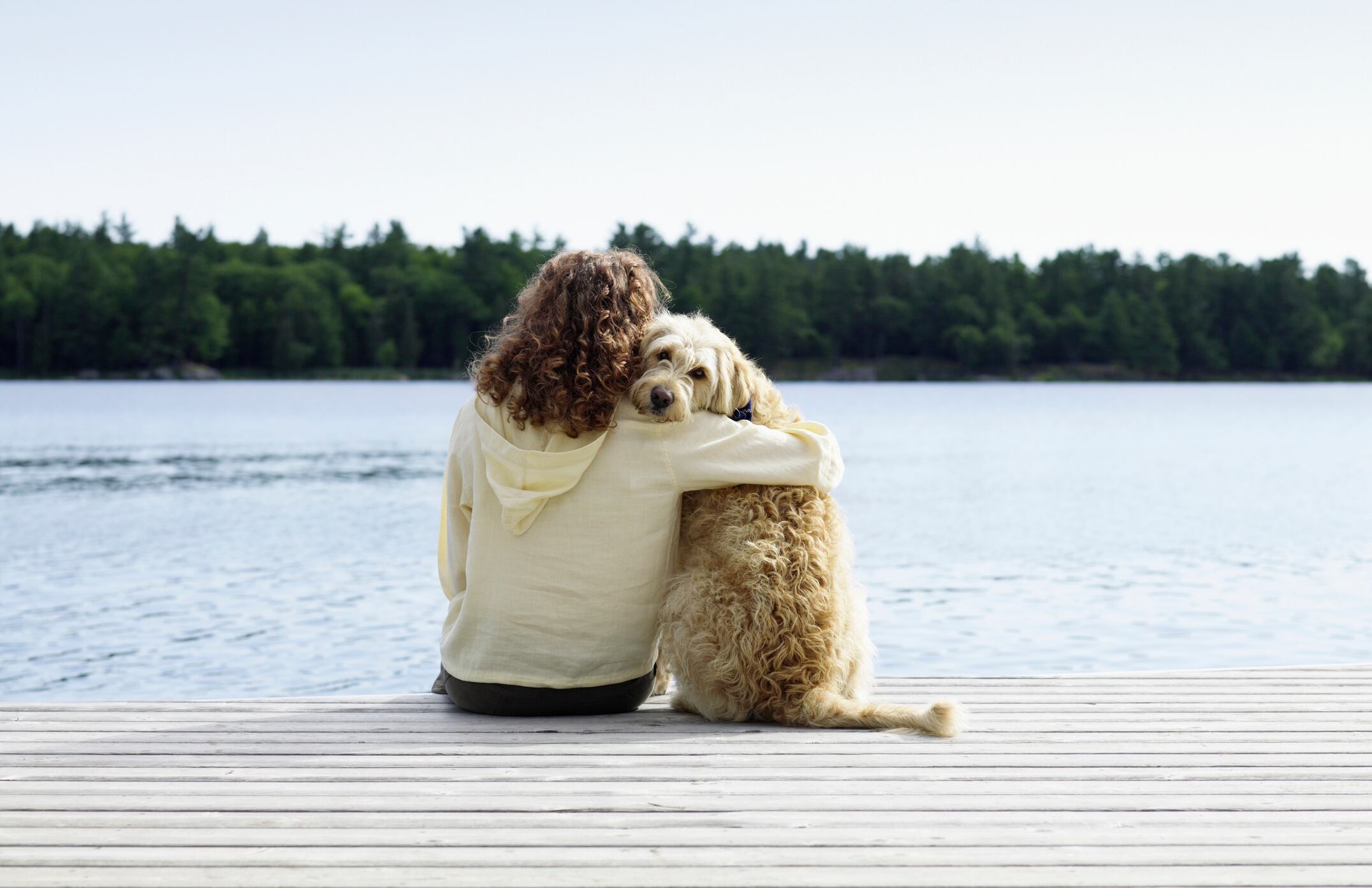 Q-A-Bill-Bookout-on-the-animal-supplement-market-trends-and-regulations.jpg
