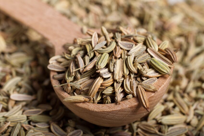 fennel-seeds.jpg