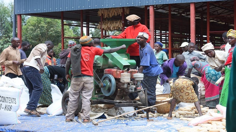 Making good nutrition affordable: DSM targets snacking, local ingredients and convenience