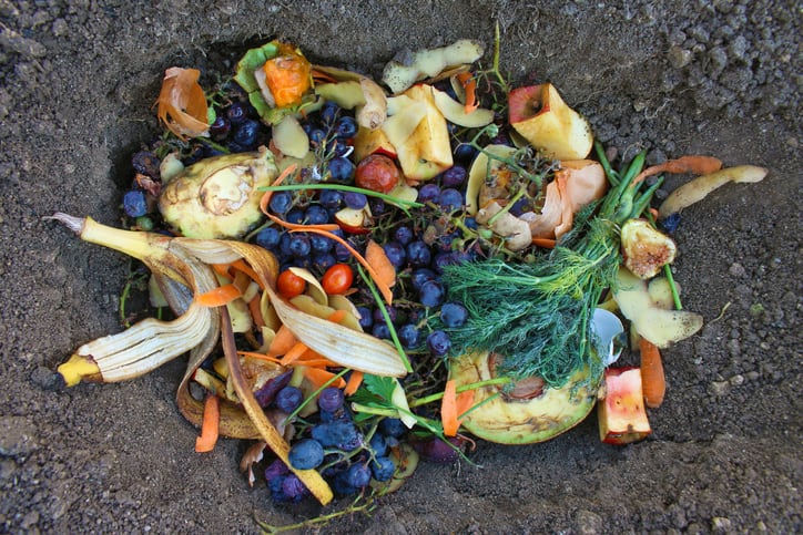 Dolcas rolls out zero-waste strategy across its portfolio