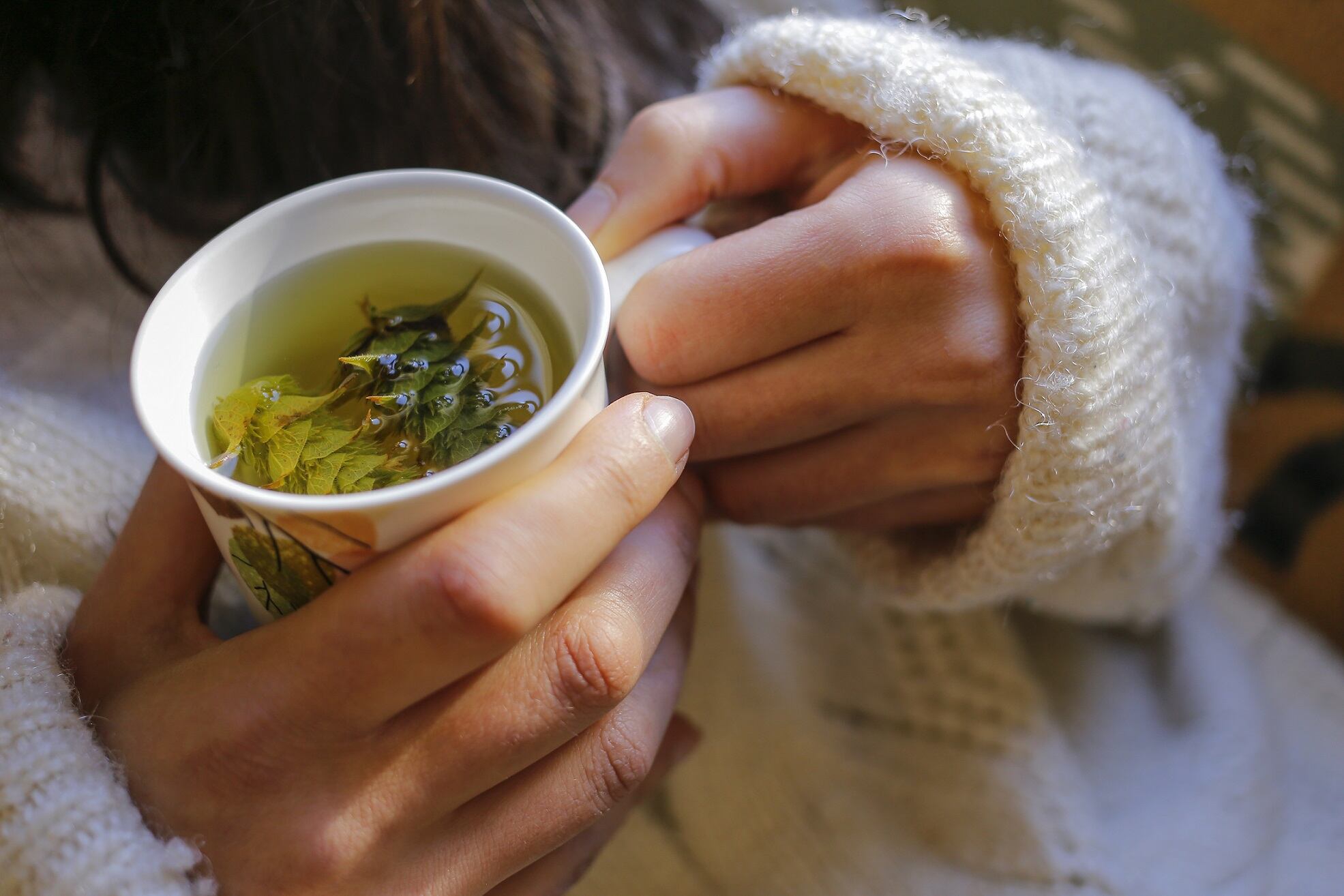Pharmactive-reveals-edible-botanical-complex-for-immunity.jpg