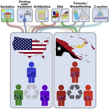 graphical-abstract.jpg