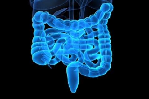Probiotics.jpg