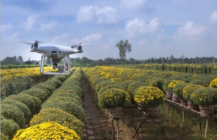 Trend Tracker: Hemp and CBD gaining interest in Asia, functional foods the key driver of Australian market growth, yogurt for skin health