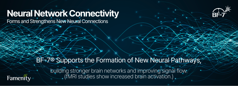Neural Network Pathways