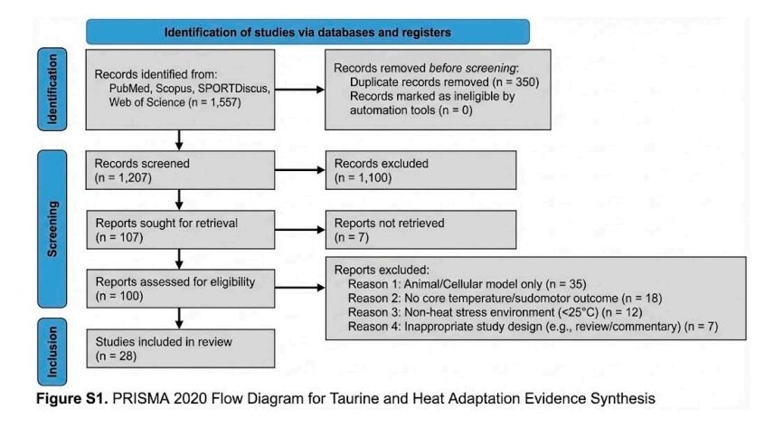 The targeted evidence identification strategy used to capture seminal human trials and relevant mechanistic models for taurine.