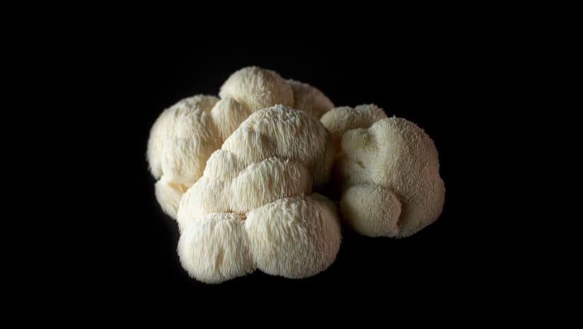 AOAC launches initiative for mushroom validation