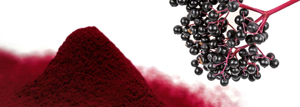 Iprona-Unlocking-the-health-promoting-properties-of-elderberries.jpg