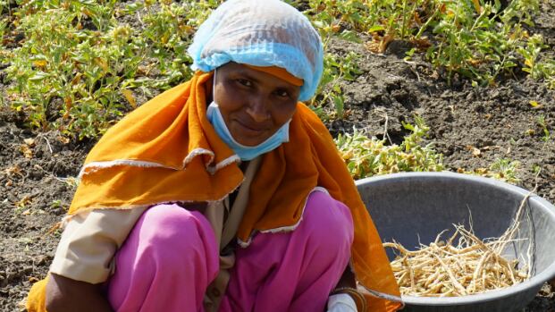 Natural wonder: 7 superstar qualities of ashwagandha